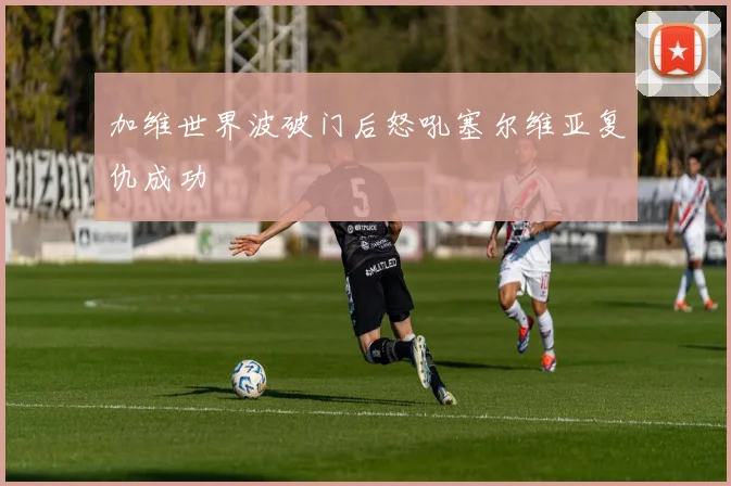加维世界波破门后怒吼塞尔维亚复仇成功