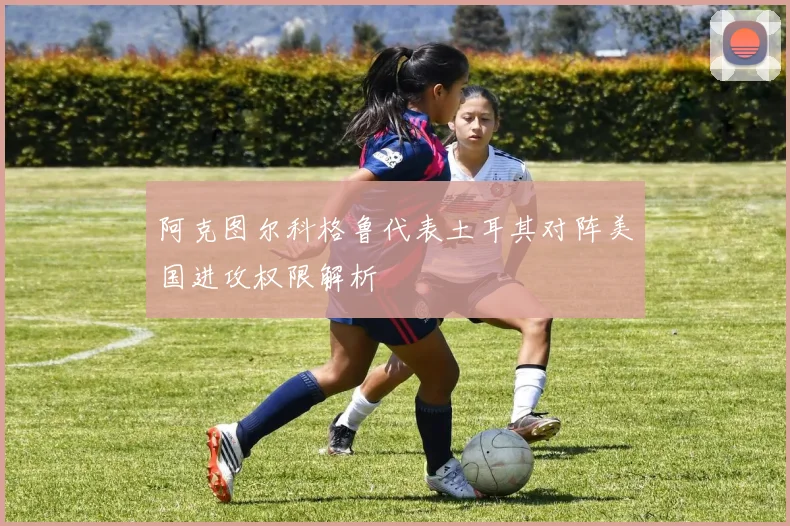 阿克图尔科格鲁代表土耳其对阵美国进攻权限解析