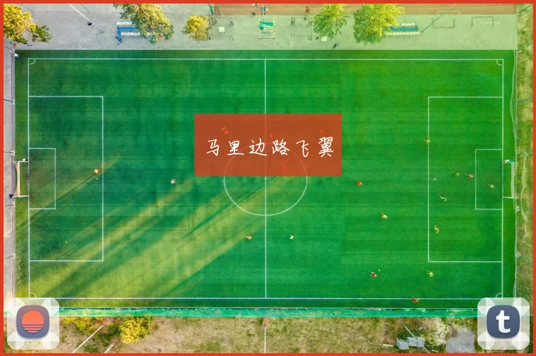 马里边路飞翼