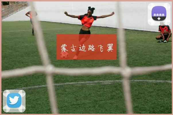 蒙古边路飞翼