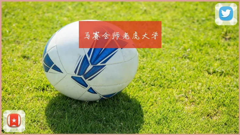 马赛会师老虎大学