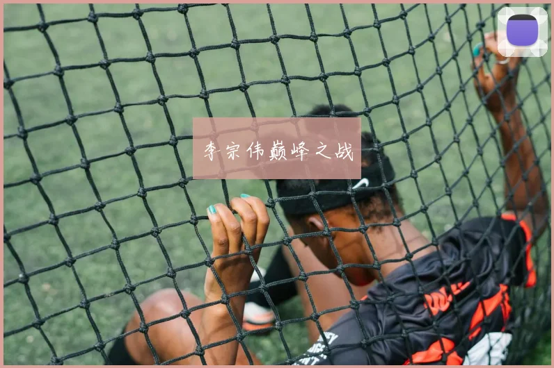 李宗伟巅峰之战