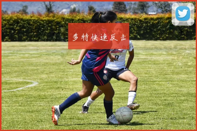 多特快速反击