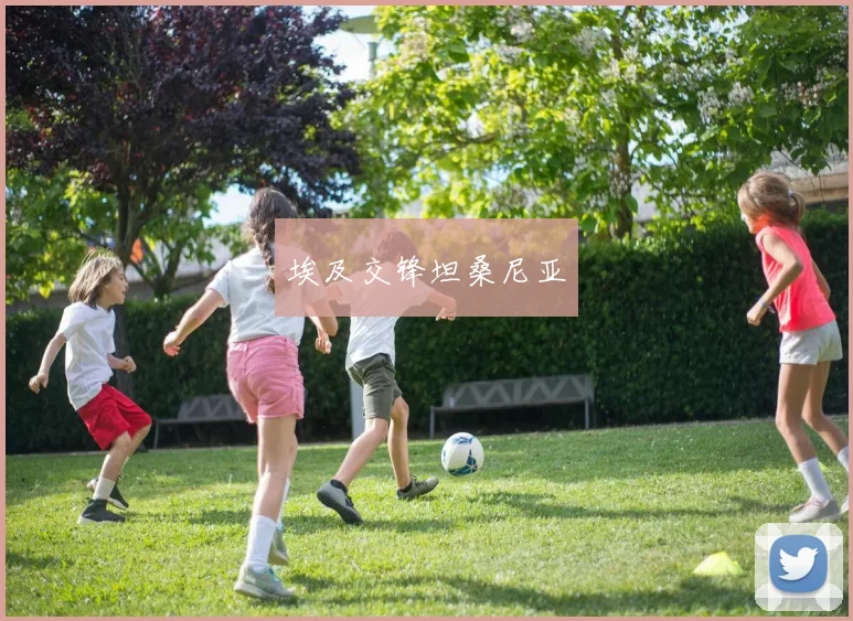 埃及交锋坦桑尼亚