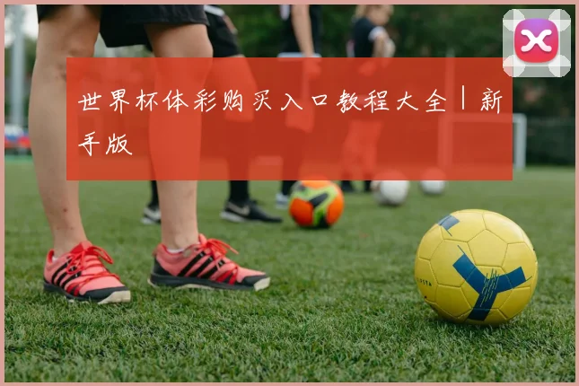 世界杯体彩购买入口教程大全｜新手版
