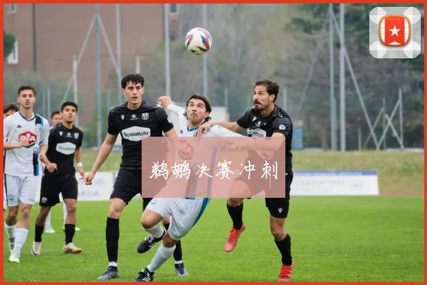 鹈鹕决赛冲刺