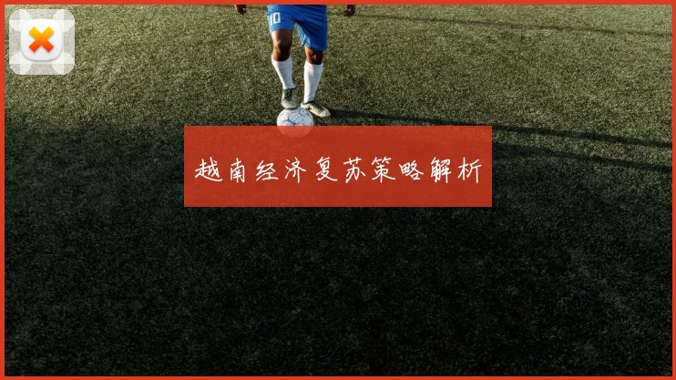 越南经济复苏策略解析