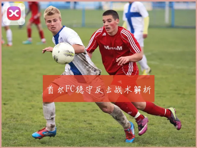 首尔FC稳守反击战术解析
