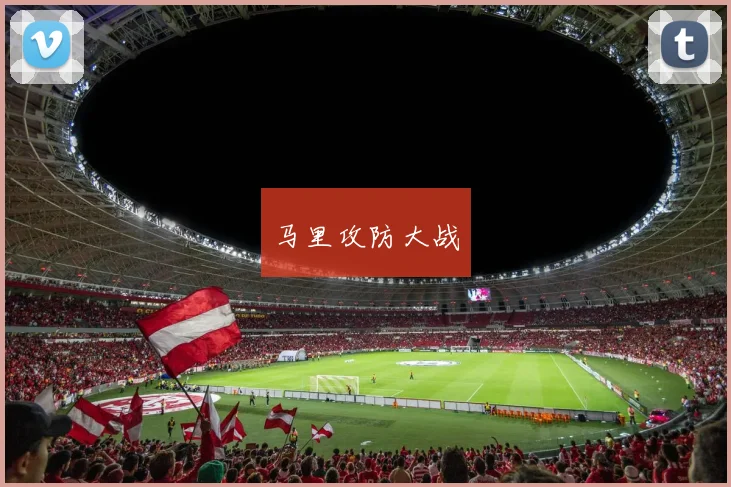 马里攻防大战