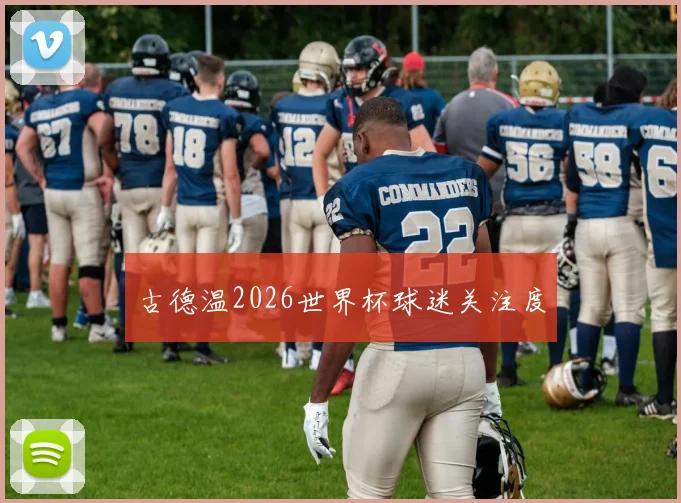 古德温2026世界杯球迷关注度