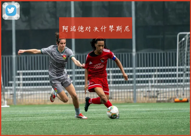 阿诺德对决什琴斯尼