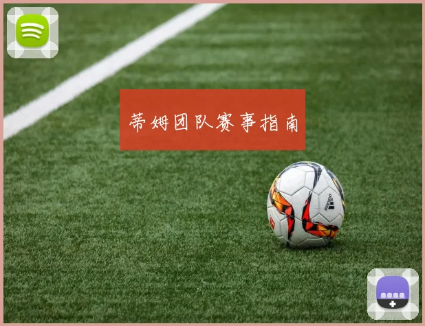 蒂姆团队赛事指南
