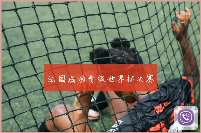 法国成功晋级世界杯决赛