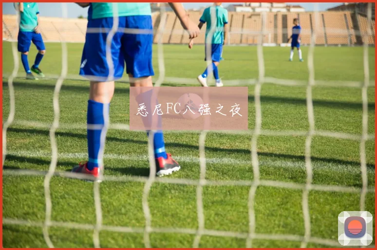 悉尼FC八强之夜