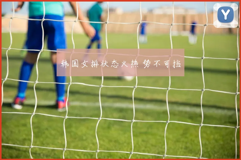 韩国女排状态火热 势不可挡