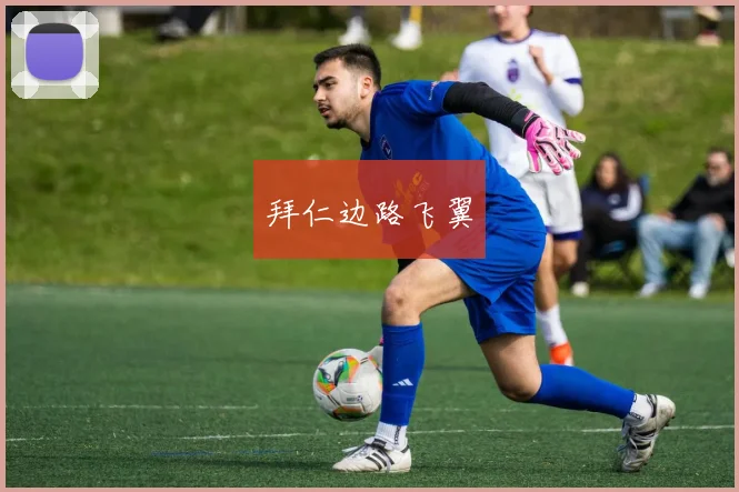 拜仁边路飞翼