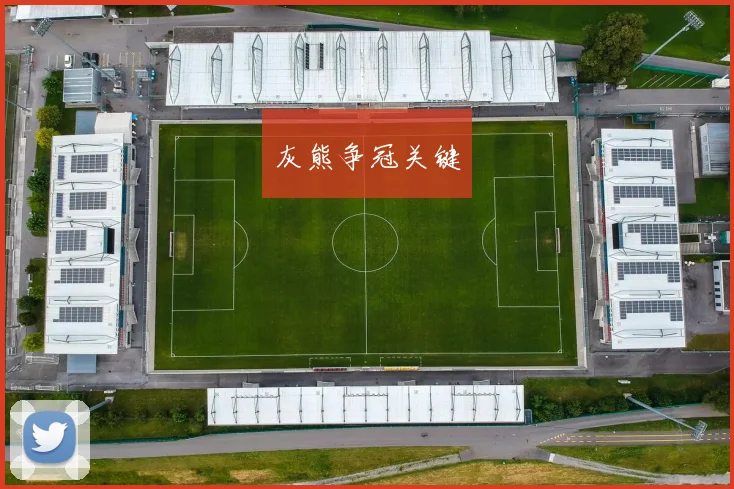 灰熊争冠关键