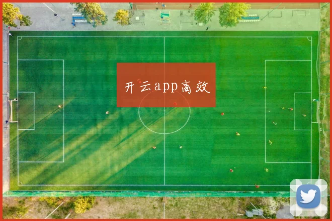 开云app高效