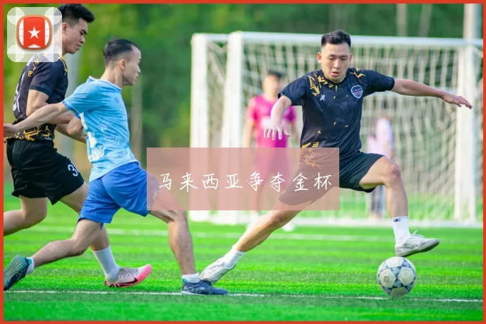 马来西亚争夺金杯
