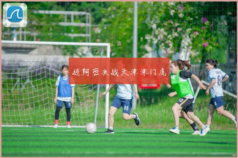 迈阿密决战天津津门虎