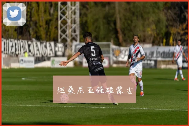 坦桑尼亚强碰蒙古