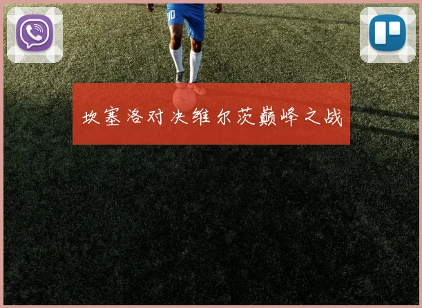 坎塞洛对决维尔茨巅峰之战