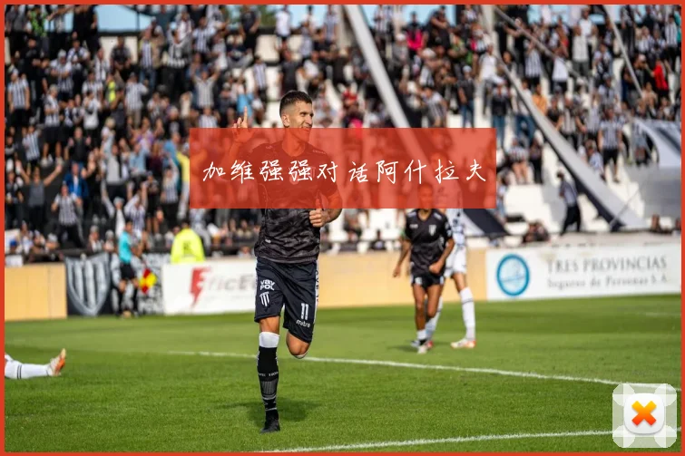 加维强强对话阿什拉夫