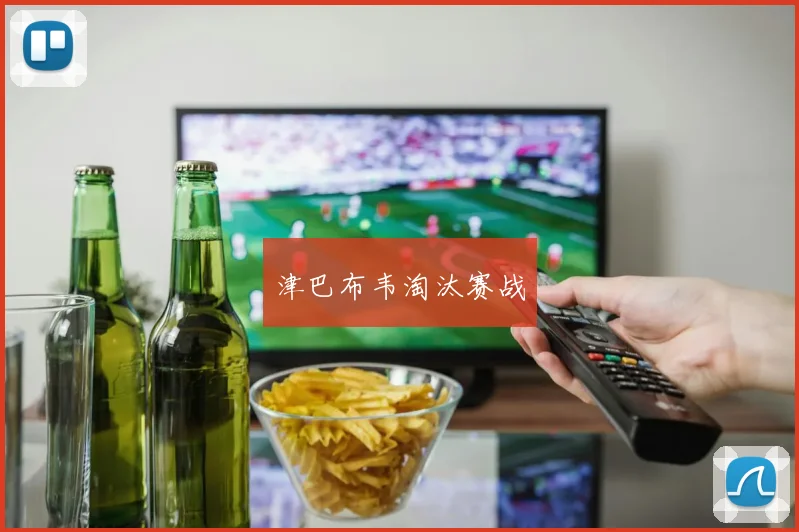 津巴布韦淘汰赛战