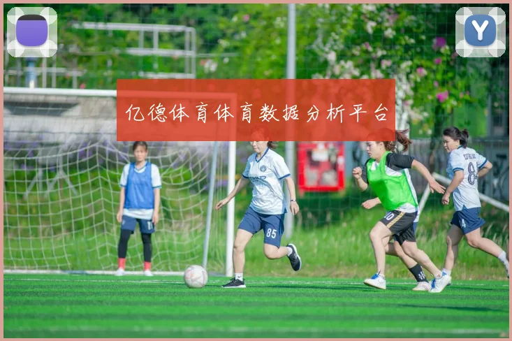 亿德体育体育数据分析平台