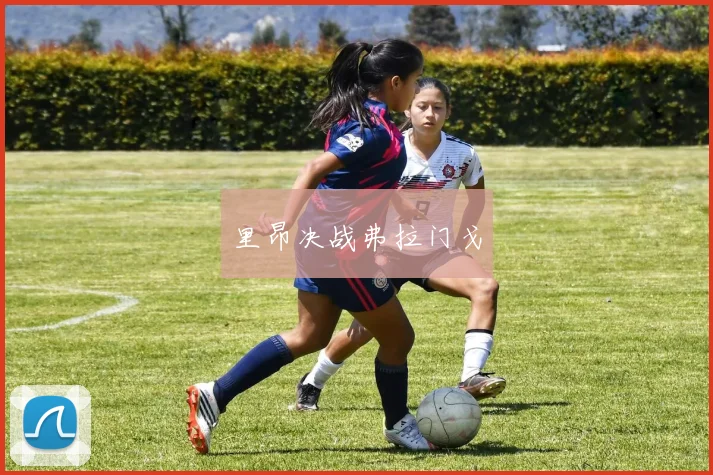 里昂决战弗拉门戈