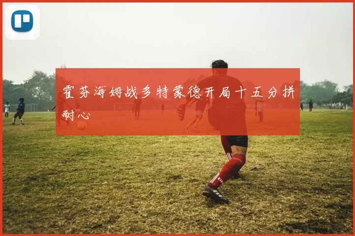 霍芬海姆战多特蒙德开局十五分拼耐心