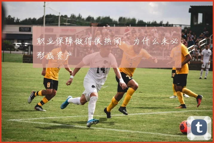 职业保障做得很热闹，为什么未必形成资产