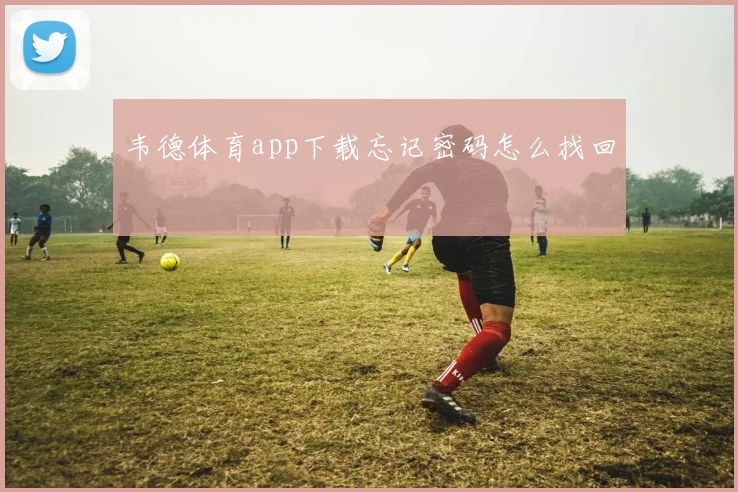 韦德体育app下载忘记密码怎么找回