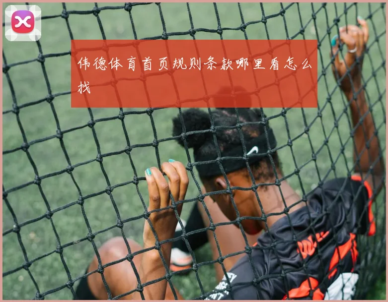 伟德体育首页规则条款哪里看怎么找